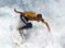 surf