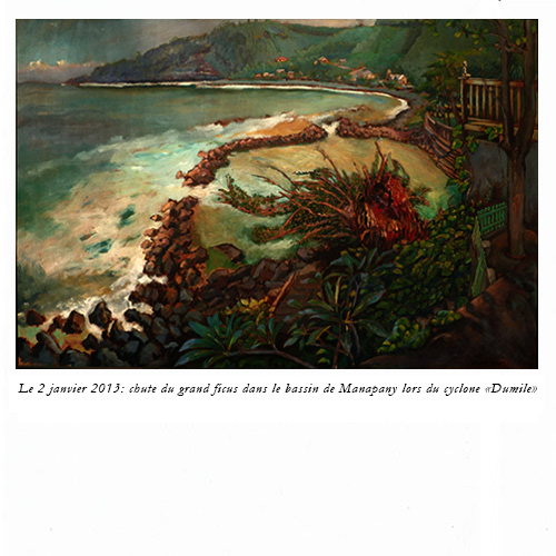 Dérives du bassin de Manapany, peintures, Alain Ducros