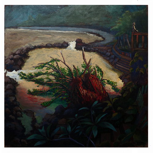 Dérives du bassin de Manapany, peintures, Alain Ducros