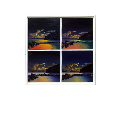 Dérives du bassin de Manapany, peintures, Alain Ducros
