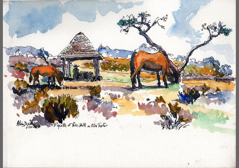 Croquis de l'île de La Réunion, croquis aquarellés  Alain Ducros