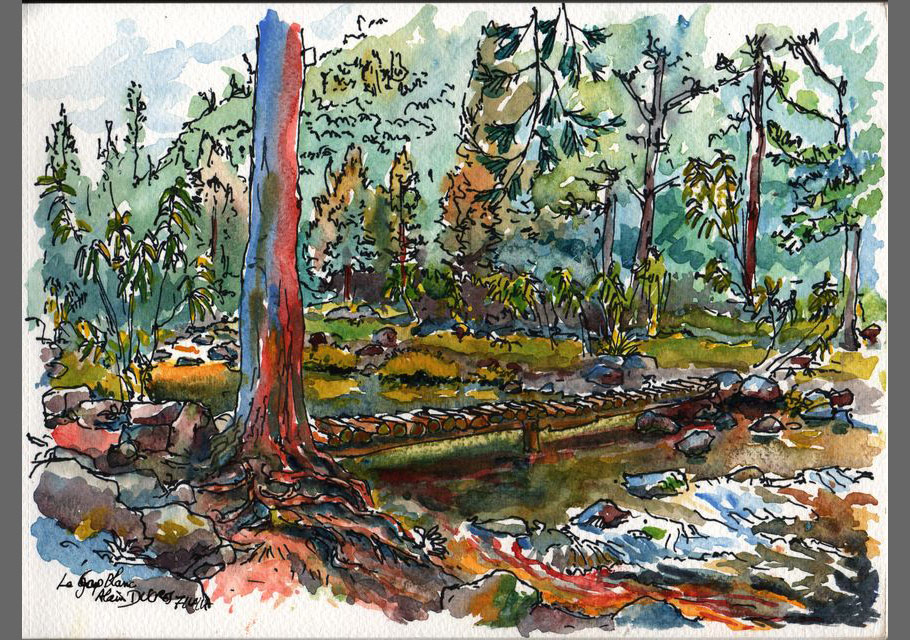 Croquis de l'île de La Réunion, croquis aquarellés  Alain Ducros
