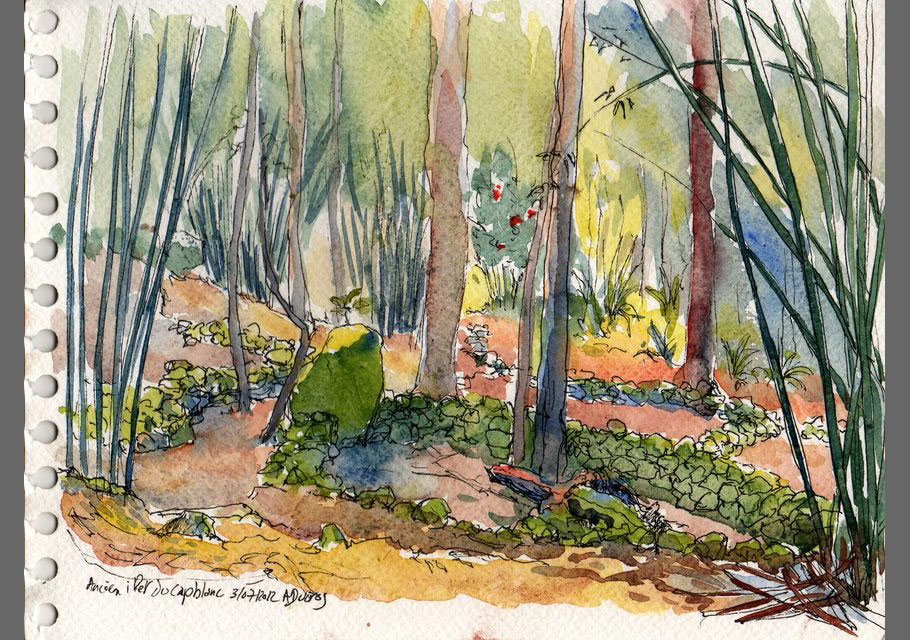 Croquis de l'île de La Réunion, croquis aquarellés  Alain Ducros