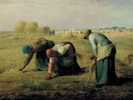 Millet