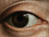 Site Holbein